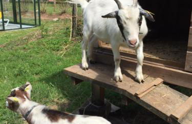 Gite Roche Des Ducs avec Piscine toute l'année, Spa, Sauna, Hammam - Foto 33
