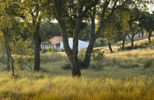 Herdade das Barradas da Serra - Foto 49