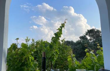 Anevalousa Beach House - Foto 63