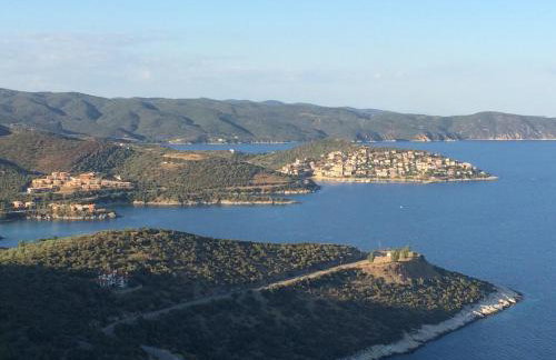 The Yellow Houses - Photo 44