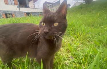 casa rural larre aundi - Foto 47