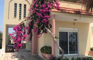 Villa George - Foto 1