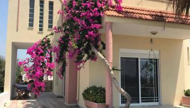 Villa George - Foto 1