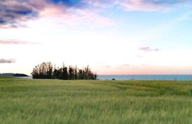 le Ti'Nid - Gîte de charme - Vue Mer - Foto 43