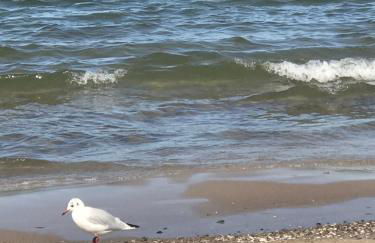Ferienwohnung Goa auf Usedom - Foto 9
