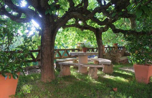 Masia Sagués - Foto 23