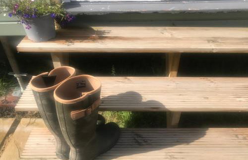 Peaceful Shepherd's Hut next to Horse Field - Foto 9