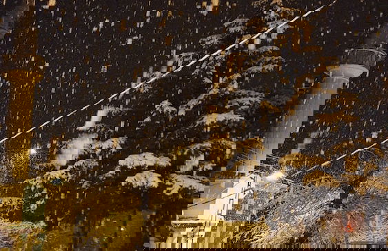 Çeşmeönü Bungalov - Foto 14