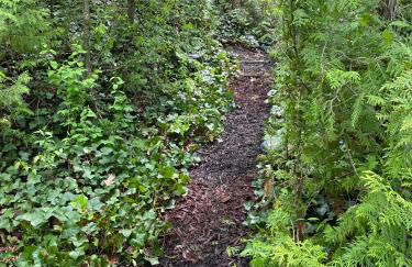 All the Waters Retro Home on Lake Michigan- Your Own PRIVATE BEACH - Foto 64