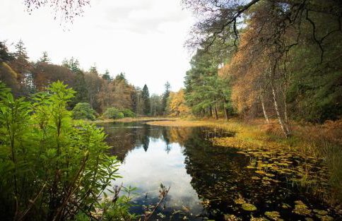 The Bungalow - Photo 22