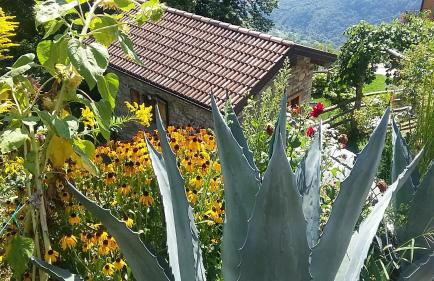 Agriturismo Zertin - Foto 10