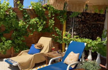 Bico das flores - Foto 60