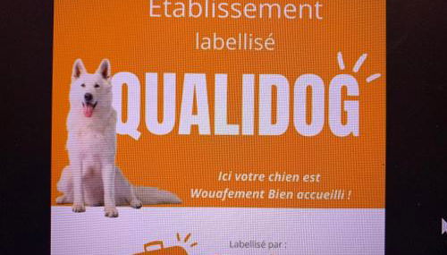 Le repos des escargots - Appartement 3 étoiles - label Qualidog - 1 à 6 personnes avec jardin ombragé et aménagé - Photo 2