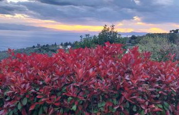 Panorama Studio Afetes - Photo 67