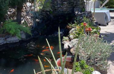 Taburiente - Foto 18