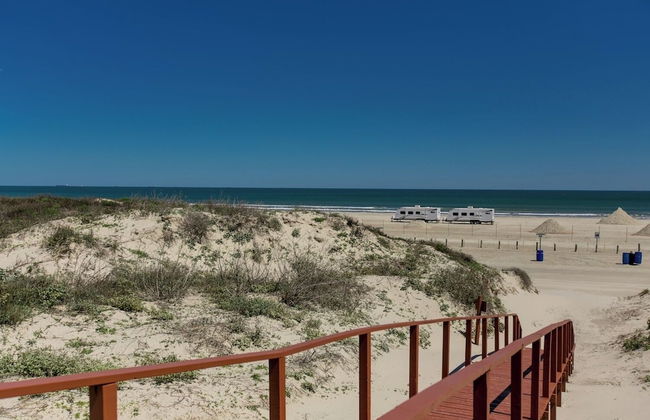 Ir19-on the Half Shell - Foto 10