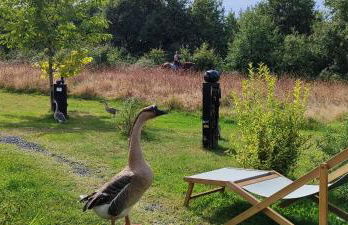 Domaine équestre de la Chênaie - Foto 53