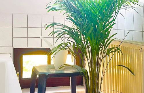 P6 - Familienwohnung am Park und Saale - Foto 31