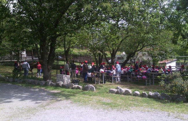 Agriturismo Costiera Amalfitana - Foto 32