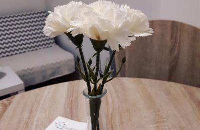 Apartman Lena - Foto 18