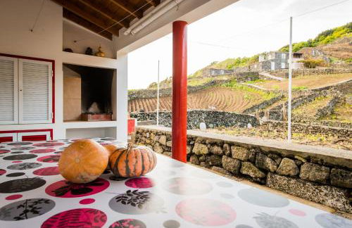 Adega Pedra do Lagar - Photo 9