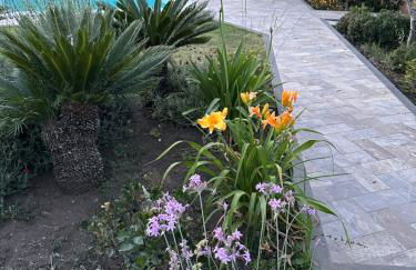 La Casetta di Lollò - Foto 51