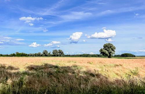 Ferienhaus Flieder - Foto 21