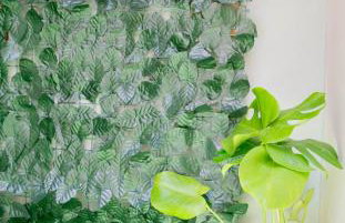 Cozy Boutique - Photo 30