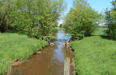 B&B Annabelle - Foto 30