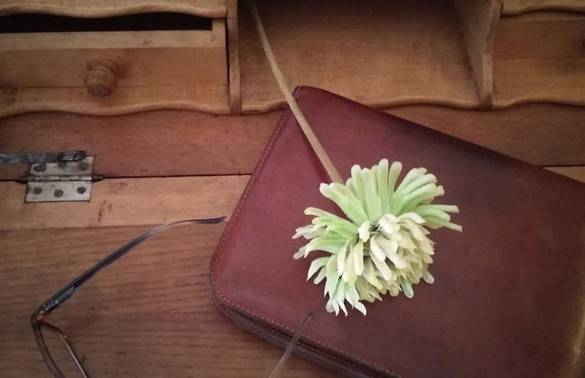 Wish-Suite Patio De Calatrava - Photo 10