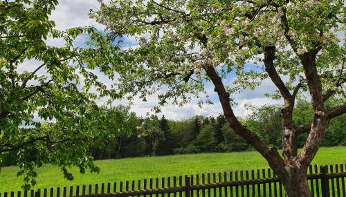 Ferienhaus Willkommen - Foto 3, Garden view