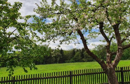 Ferienhaus Willkommen - Foto 3