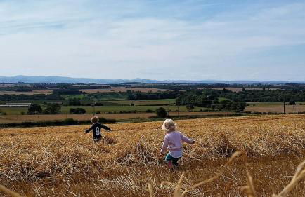 Old Farm Holiday Cottages - Scottish Borders - Foto 20