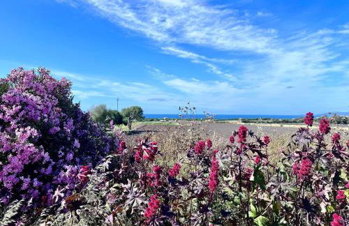 Greta's House - Foto 34