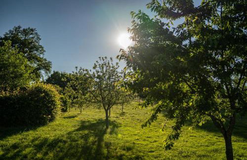 La Vallee des Elements - Foto 39