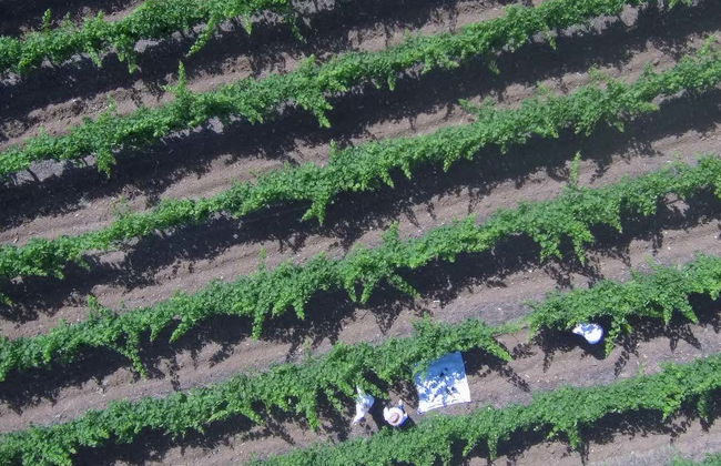 Tour in Álora - Photo 1