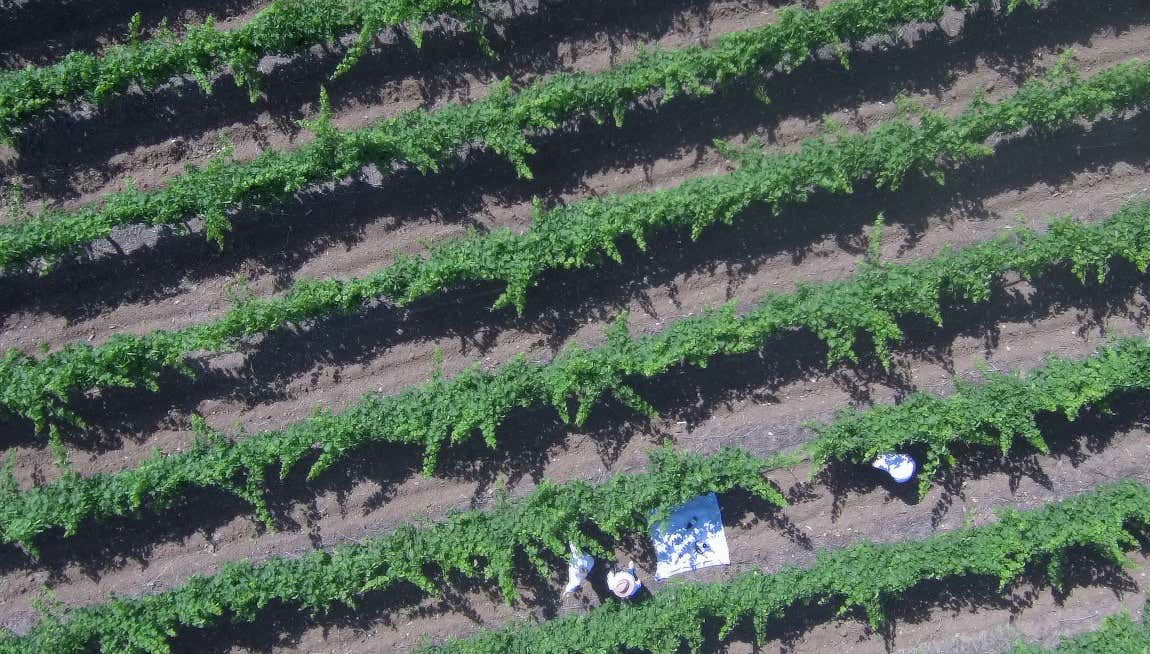 Tour in Álora - Foto 1