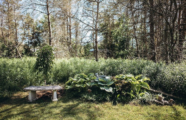 Dreamers Writing Farm - Foto 6