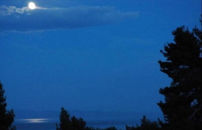 Petra Mare Villas - Photo 33