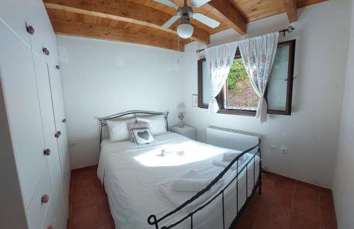 Ipati Forest Chalet - Foto 11