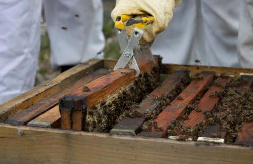 Casa da Tia Rita - Foto 35