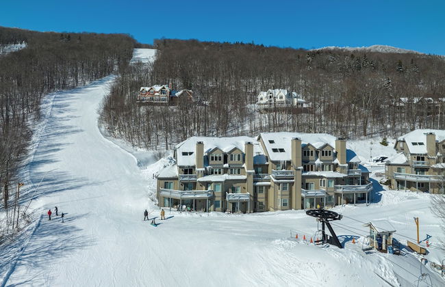 Solitude Village at Okemo by Vail Resorts - Foto 19