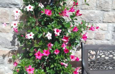 Residence Giardino - Photo 49