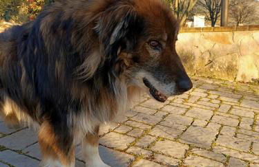 RossoMattone CountryHouse - Foto 29