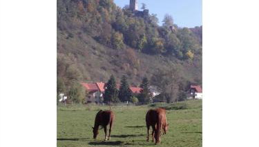 Haus Elke - Foto 3