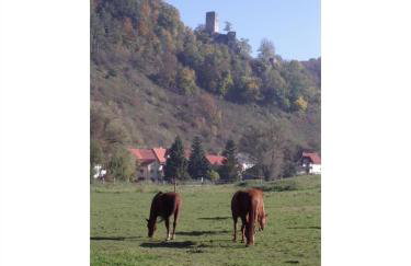 Haus Elke - Foto 3