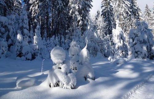 Ferienwohnung Fernblick - Foto 31