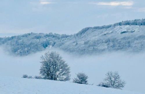 Panoramablick mit Premium-Wanderwegen vor der Haustür - Foto 56