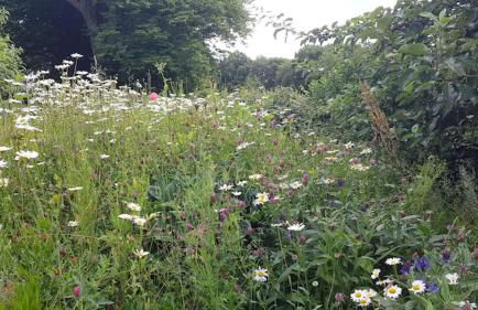 Sonnenschein am Rursee - Foto 41