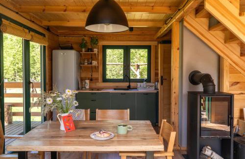 Głuszecki las - Foto 2